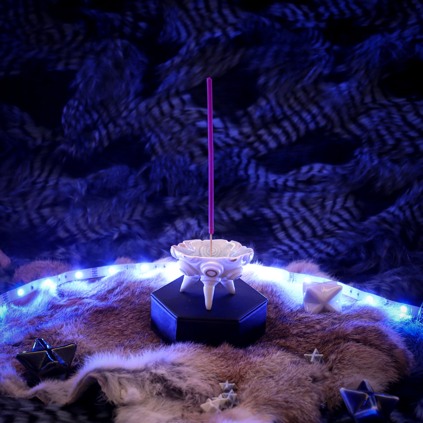 Light Urchin - Incense Holder