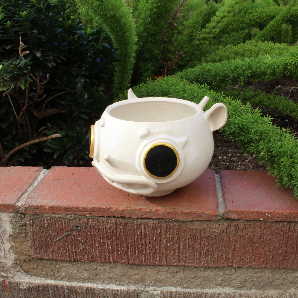 Wide-Eyed Planter