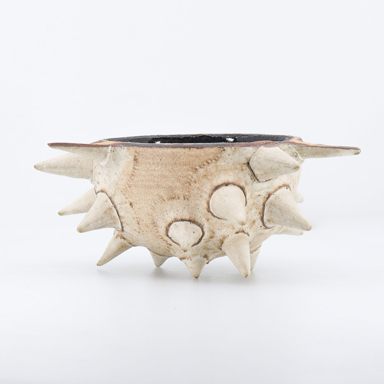 Urchin Kava Bowl 03/05