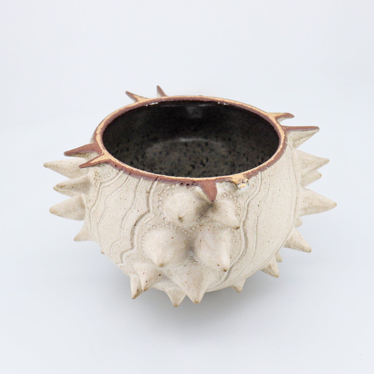 Urchin Kava Bowl 05/05