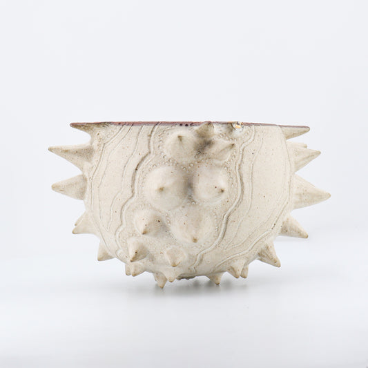 Urchin Kava Bowl 05/05