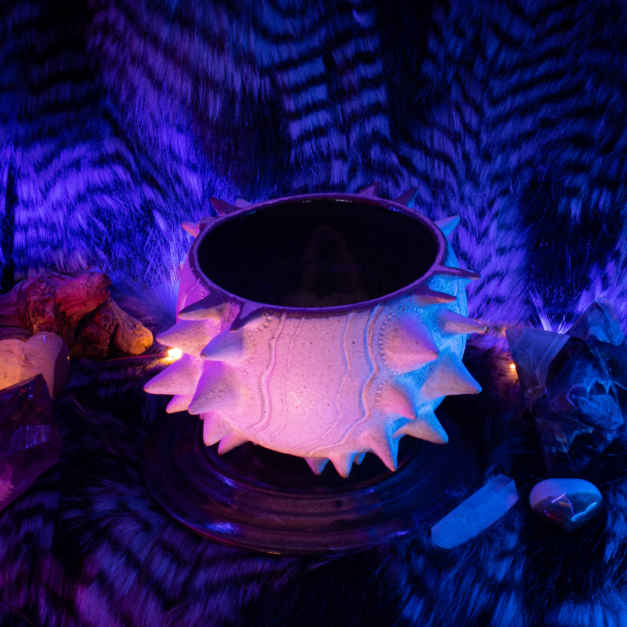 Urchin Kava Bowl 05/05