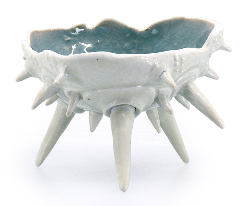 Urchin Kava Cup