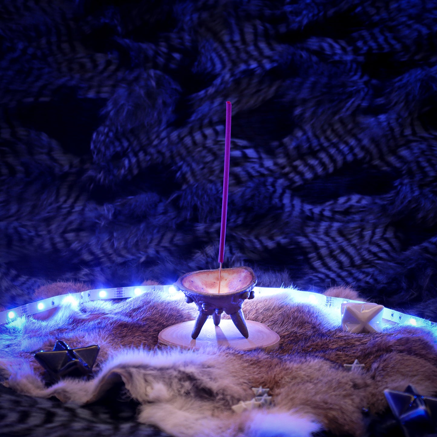 Night Urchin - Incense Holder