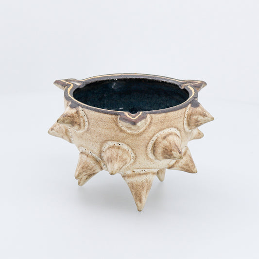 Urchin Kava Bowl 02/05