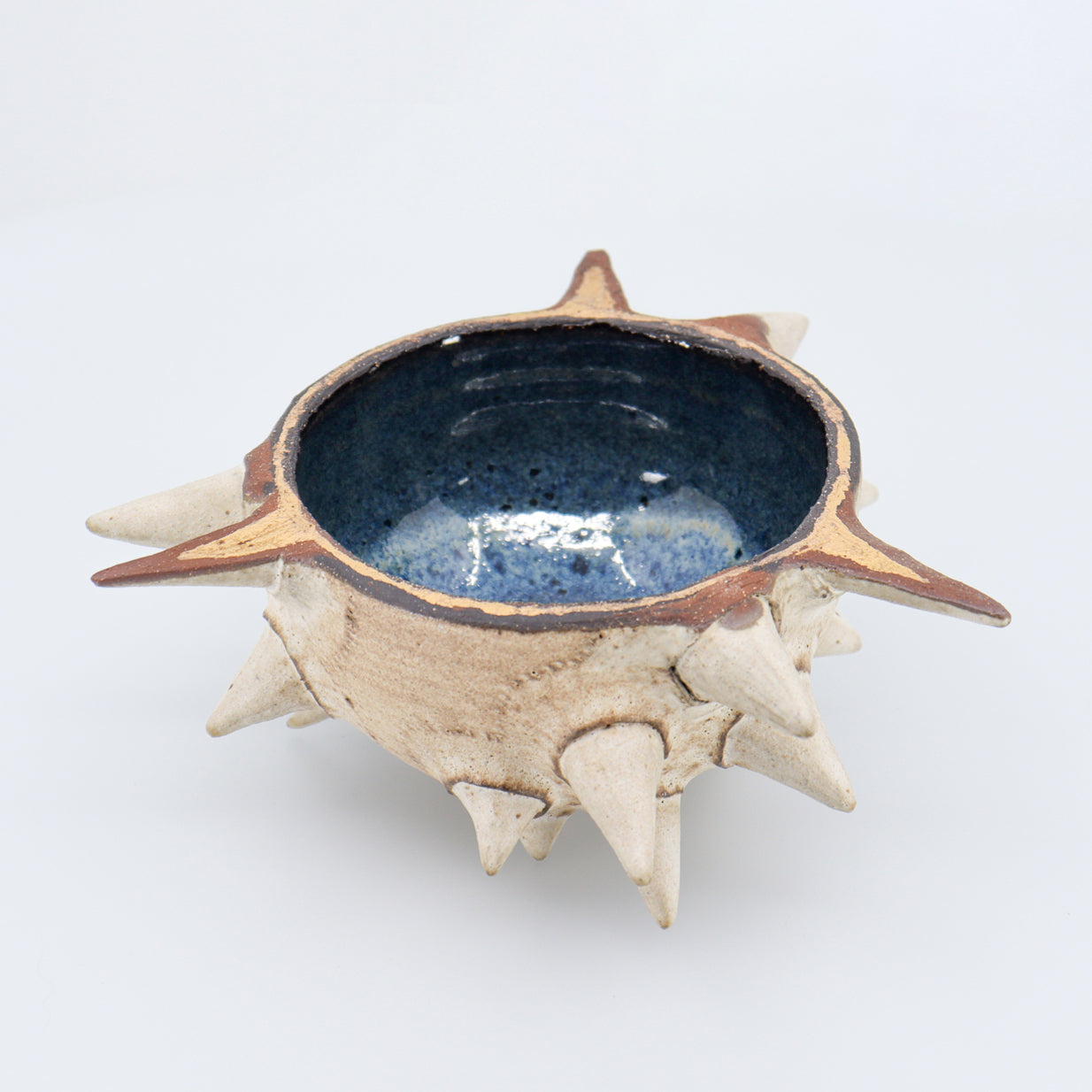 Urchin Kava Bowl 03/05