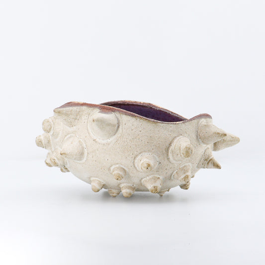 Urchin Kava Bowl 04/05